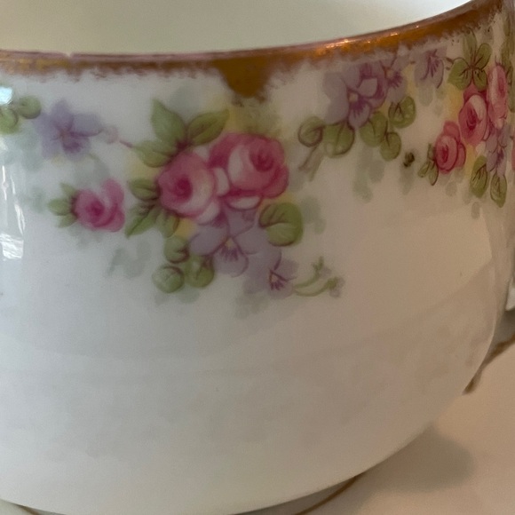 VINTAGE LIMOGES FRANCE L. R. L. TEACUP AND SAUCER W/ROSES & VIOLETS - Picture 3 of 11